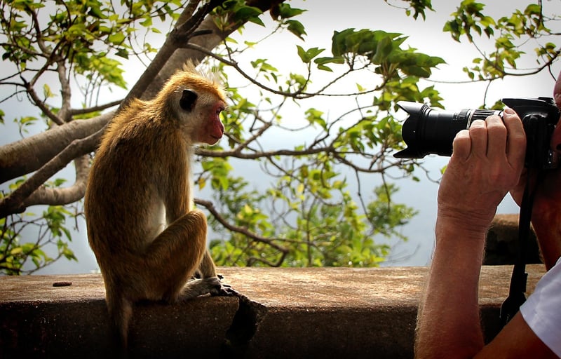 Paparazzi Photo